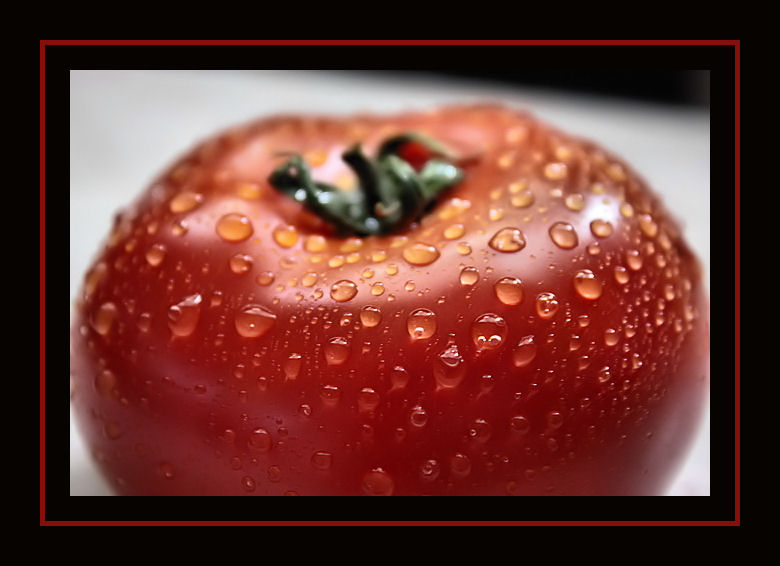 pomidor