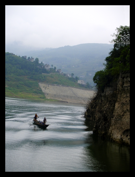 Shennong Stream 3