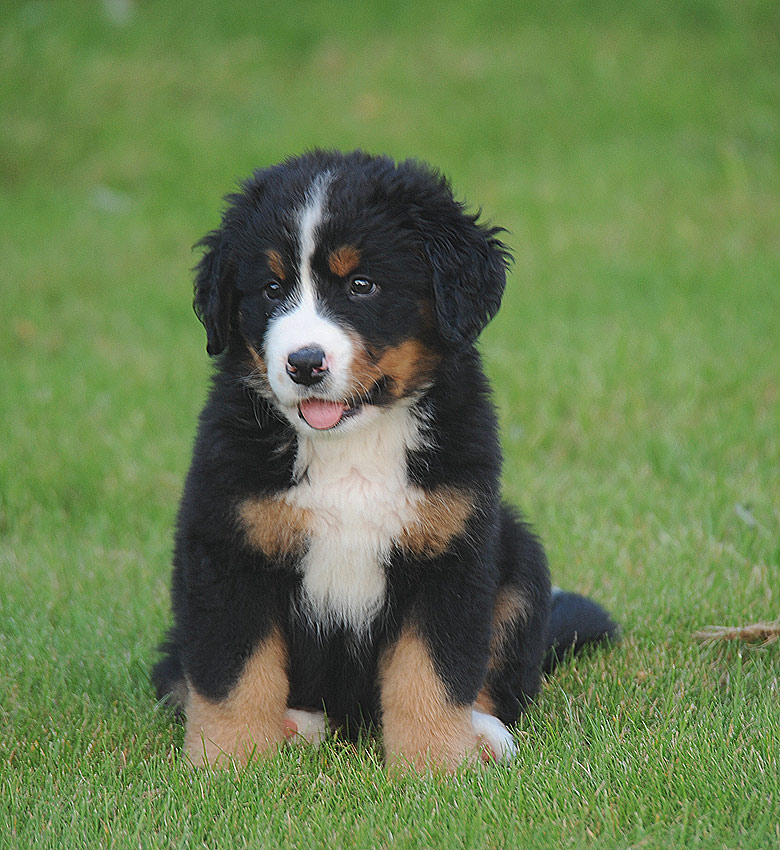 BILBO