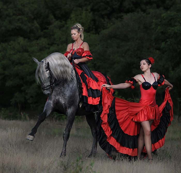 Flamenco #2