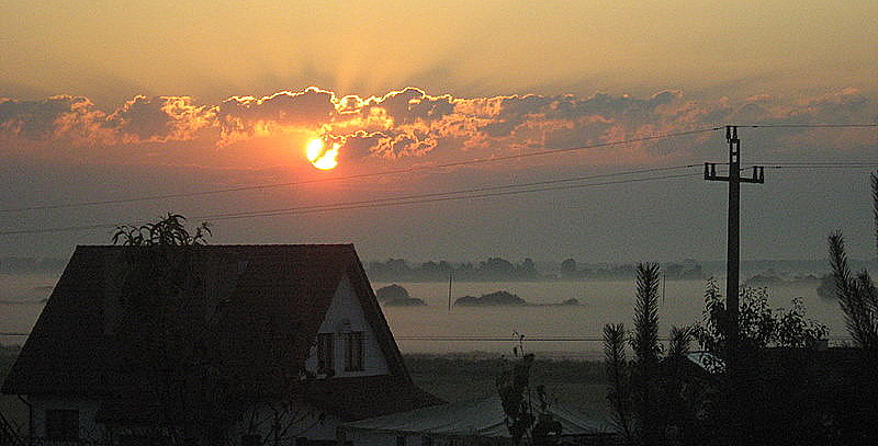świt