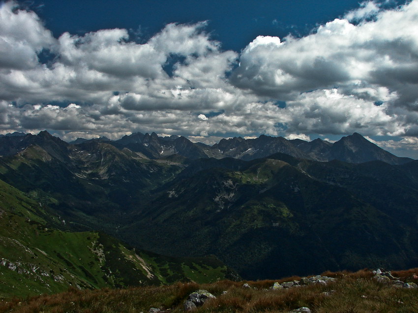 Piotr.S