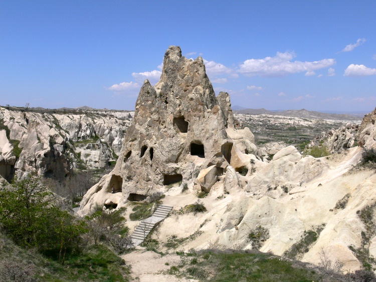 Grzyby skalne