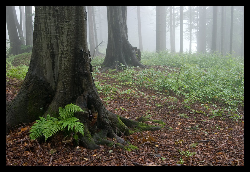 Soszów, Beskidy