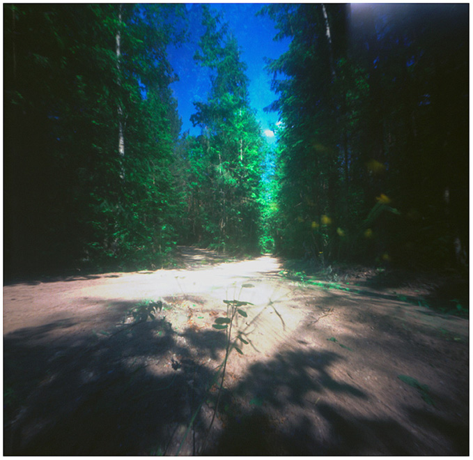 * ( forestCrossroad )