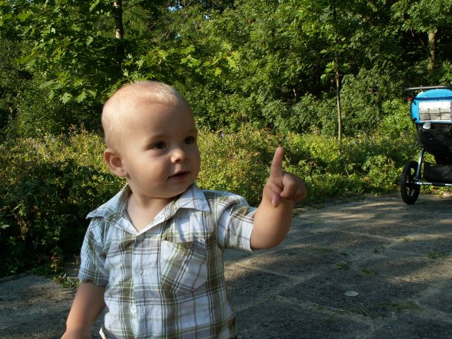 Moja wizja świata