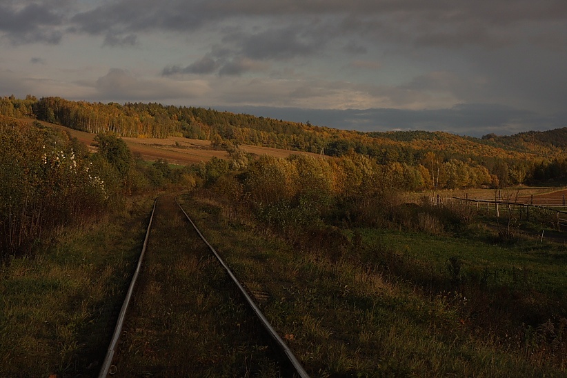 Ku jesieni