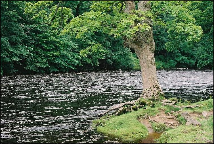 rzeka Wharfe