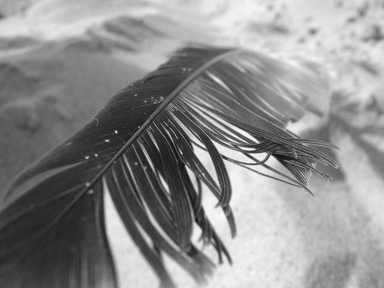 pomóż mi odlecieć