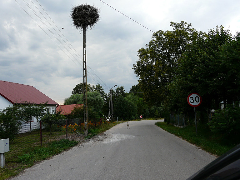 Pas startowy