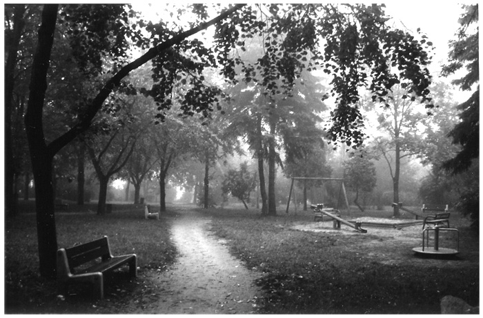 park
