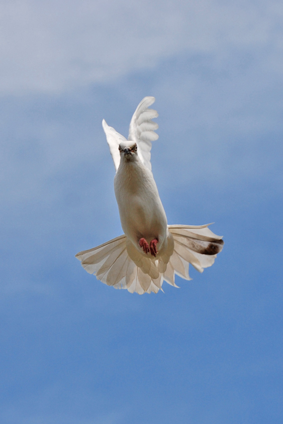 In the air