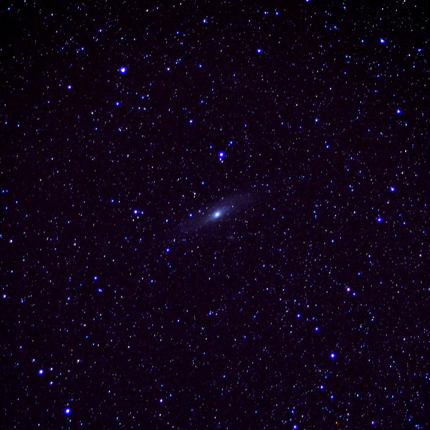 Andromeda