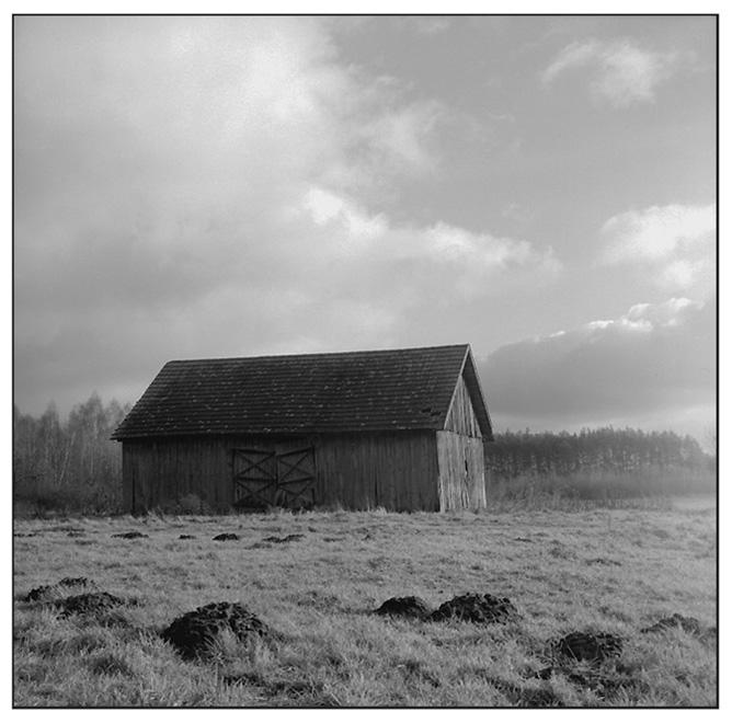 * ( discoPoloBARn / closed )