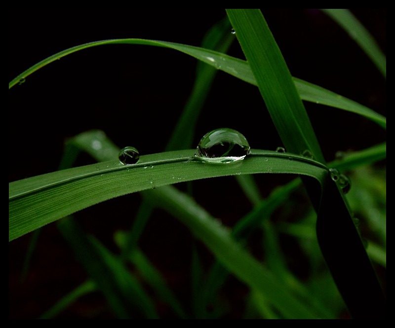 ...among...