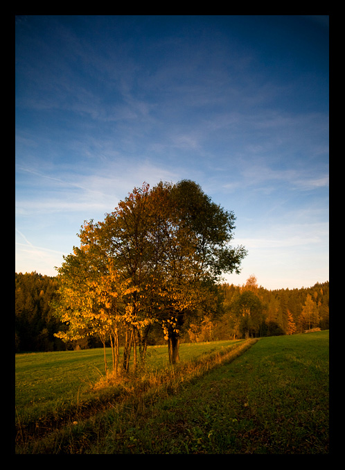 Autumn Aurora