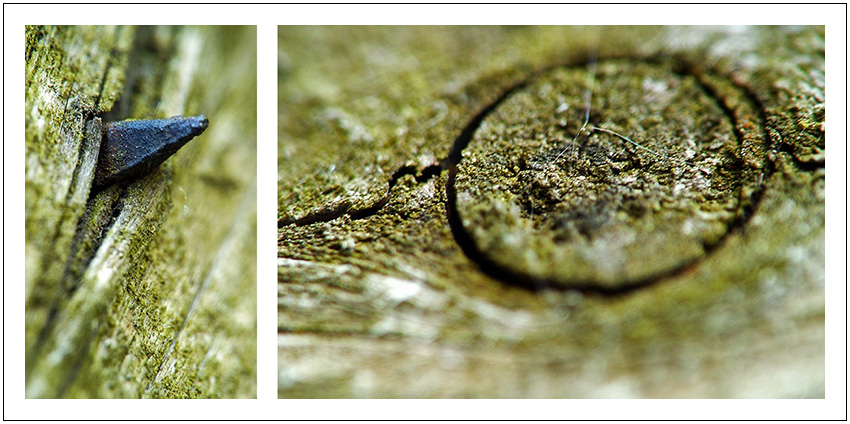 ...torn... ...don\\\'t you cry tonight...
