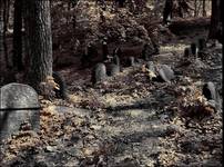 gravestones