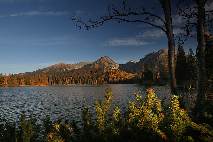 Pleso jak zawsze