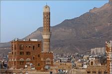 Minaretus erectus
