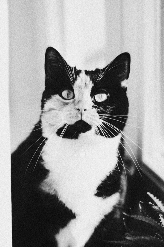 Mimi