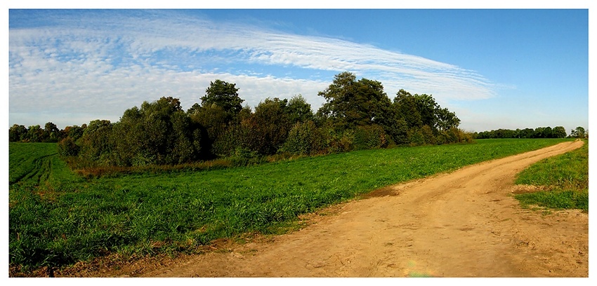 żabinek
