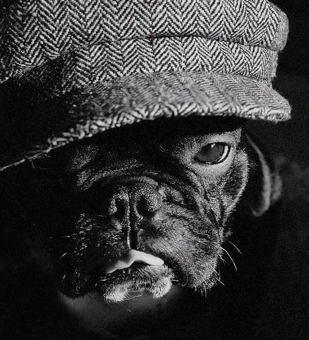 CORLEONE