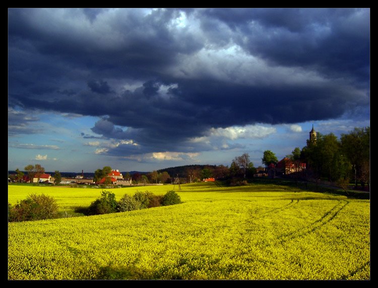Z szuflady...