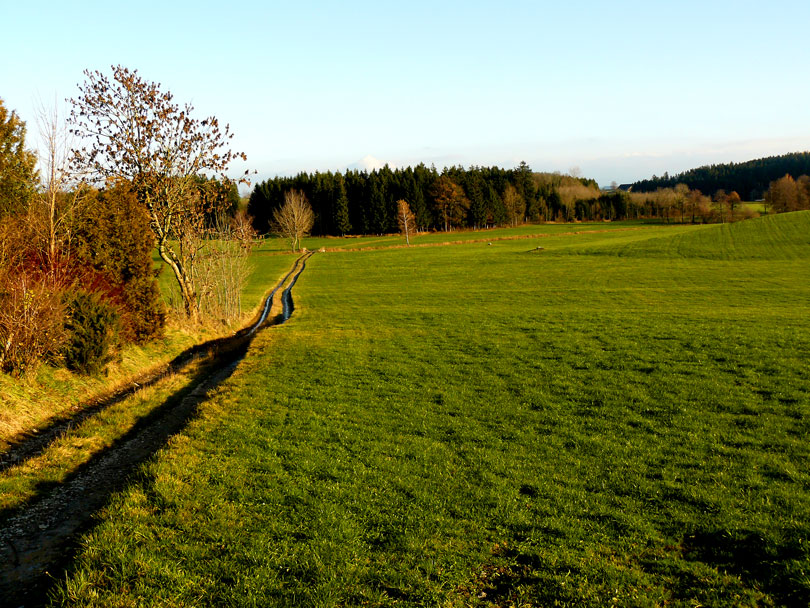 Allgäu