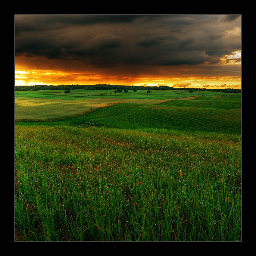 Storm Is Coming...
