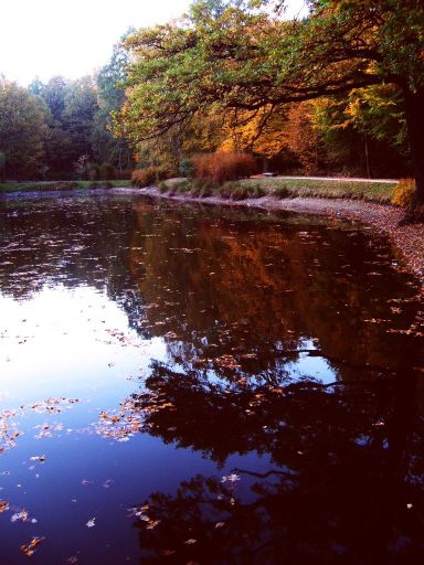 Park w Leśnicy, Wrocław