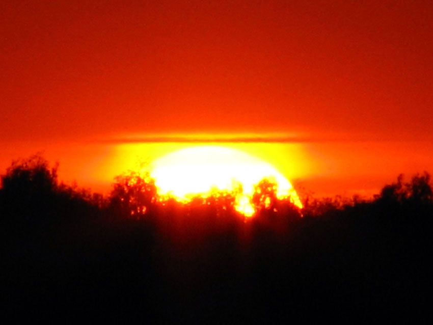 zachód nad lasem