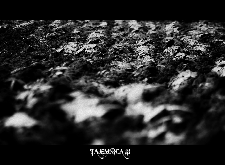 tajemnica III