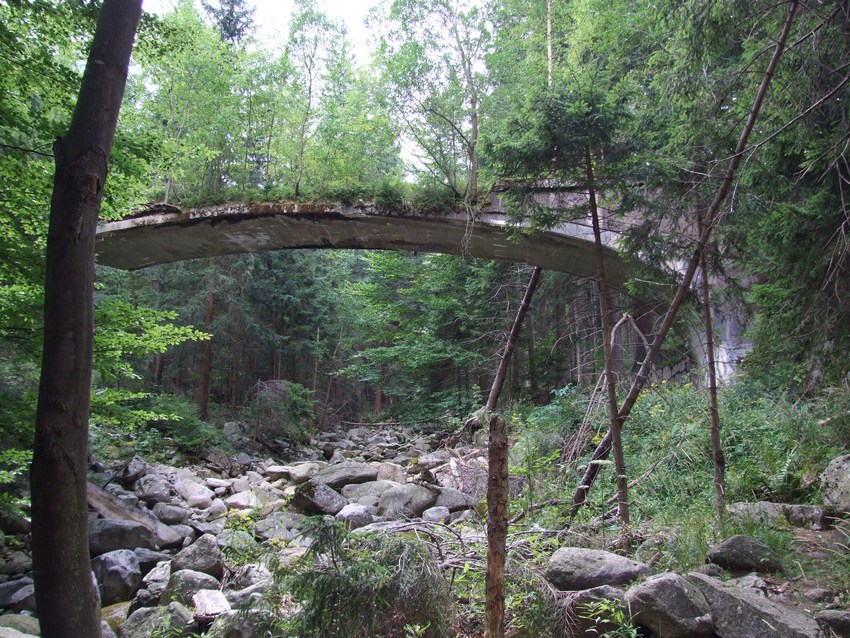 zapomniany