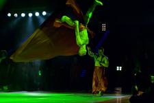II Warszawski Międzynarodowy Festiwal Sportów Walki