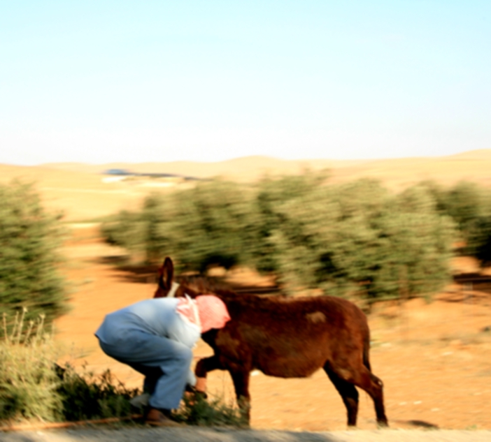 scena - jordania