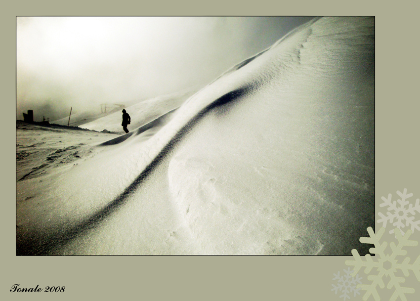 lost in snow dust