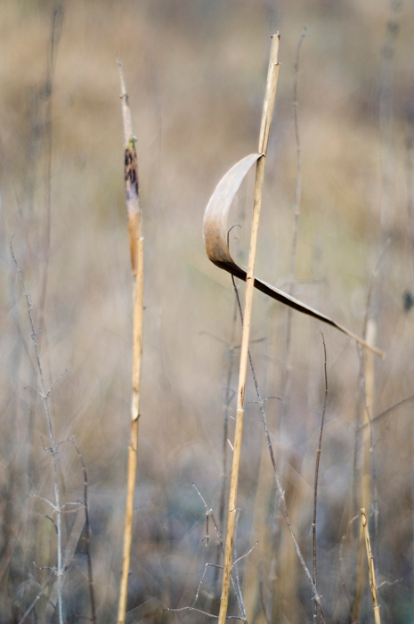 Późna jesień 2008