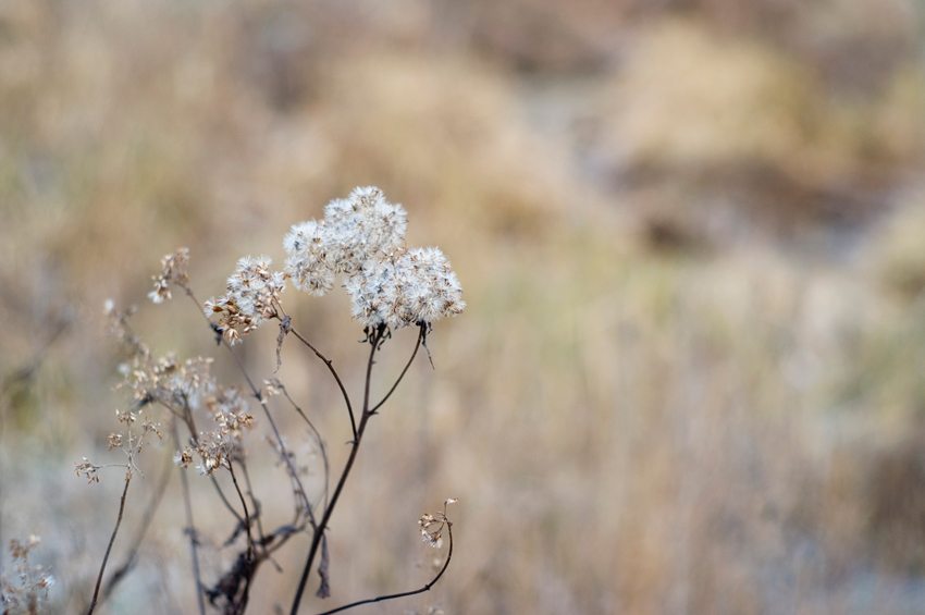Póżna jesień 2008