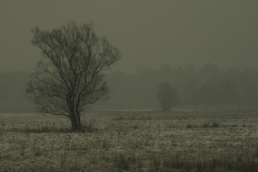 drugi śnieg