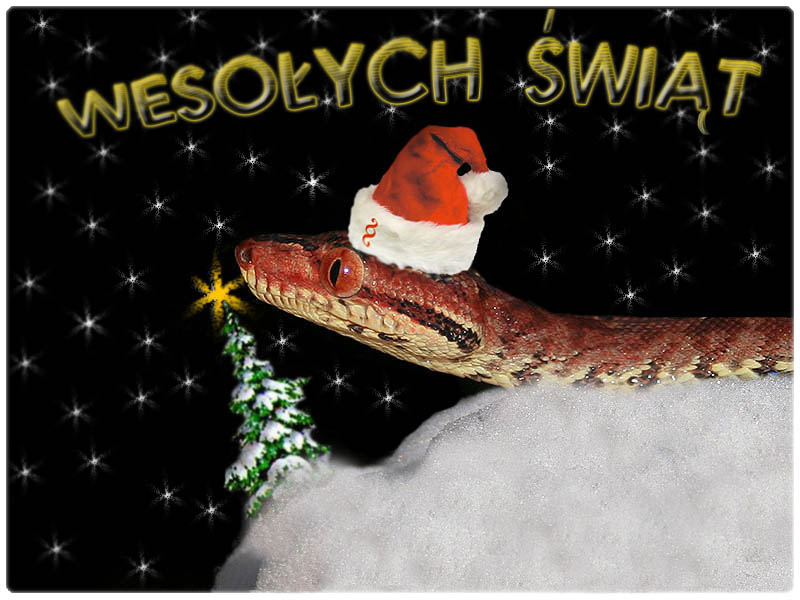 Wesołych świąt :)