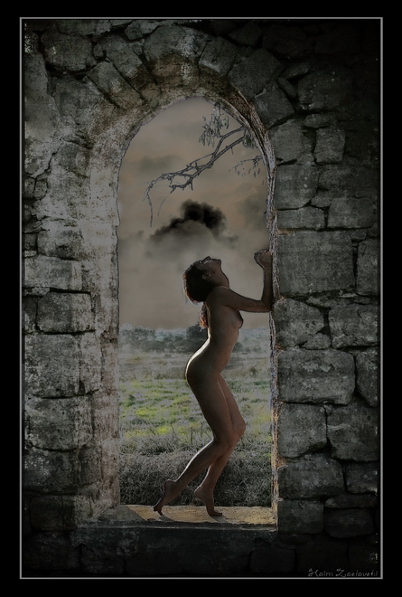 The Window...
