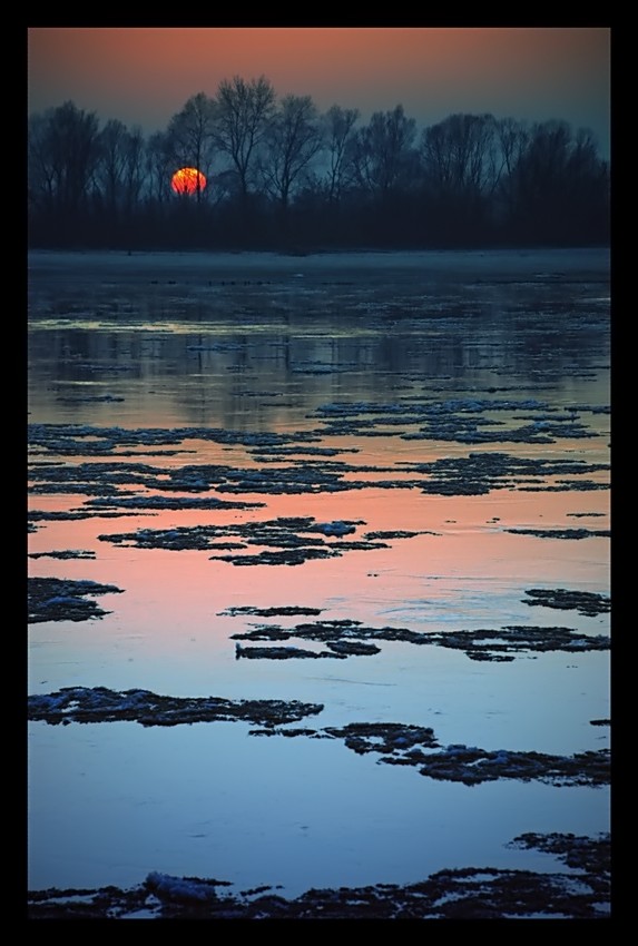 \"...vistula...\"