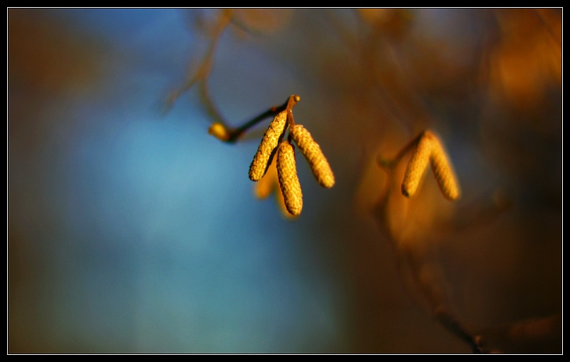 barwy...