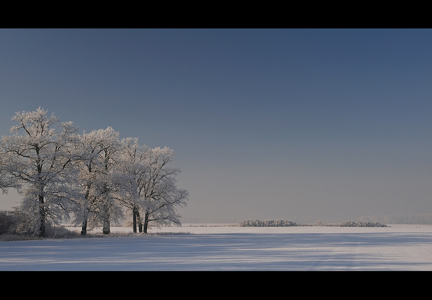 - 19,5