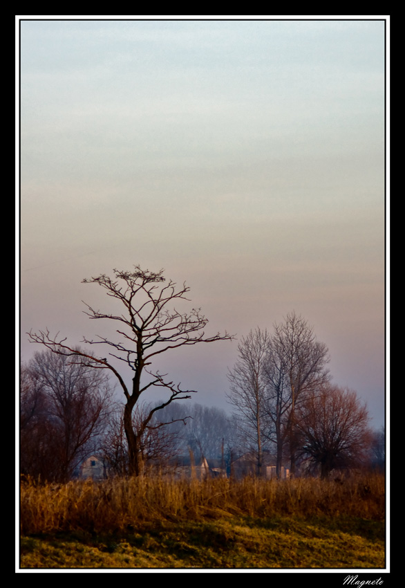 z Szuflandii 02