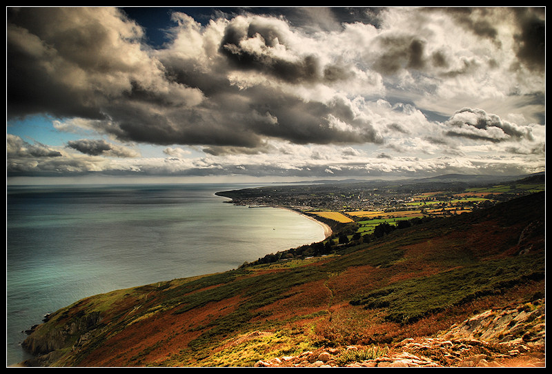 Bray