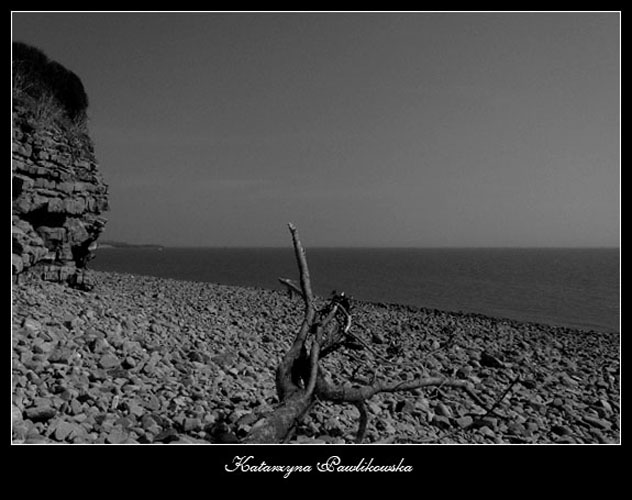 \"Widokówka z tego świata\"