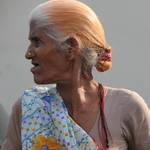 Orli profil