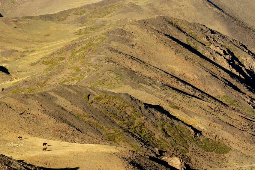 Mongolia